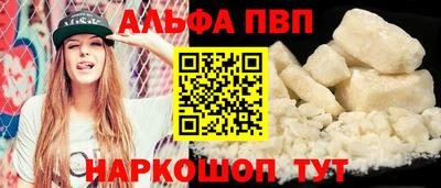 мет Кингисепп